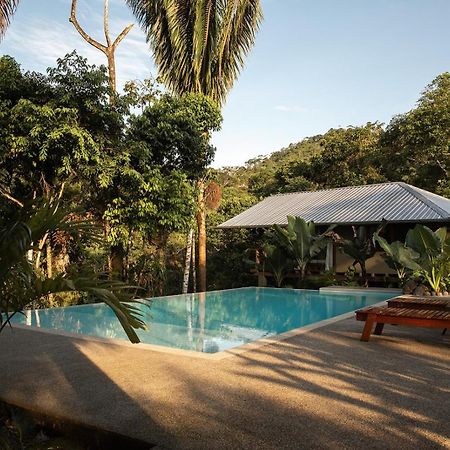 Wild Wasi Lodge - Adventures - Guided Tours Puyo Luaran gambar