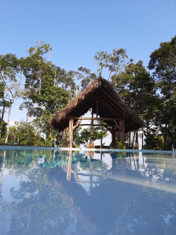 Wild Wasi Lodge - Adventures - Guided Tours Puyo Luaran gambar