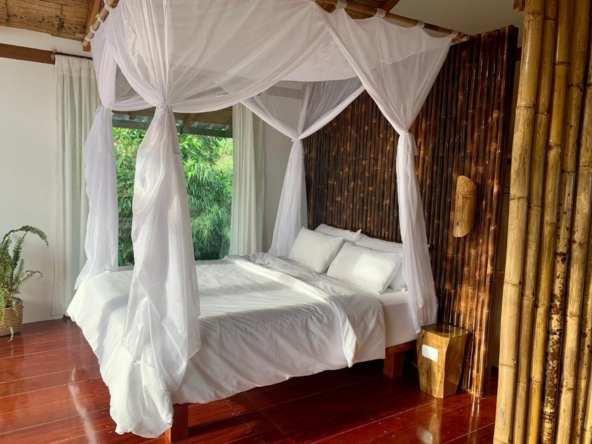 Wild Wasi Lodge - Adventures - Guided Tours Puyo Luaran gambar
