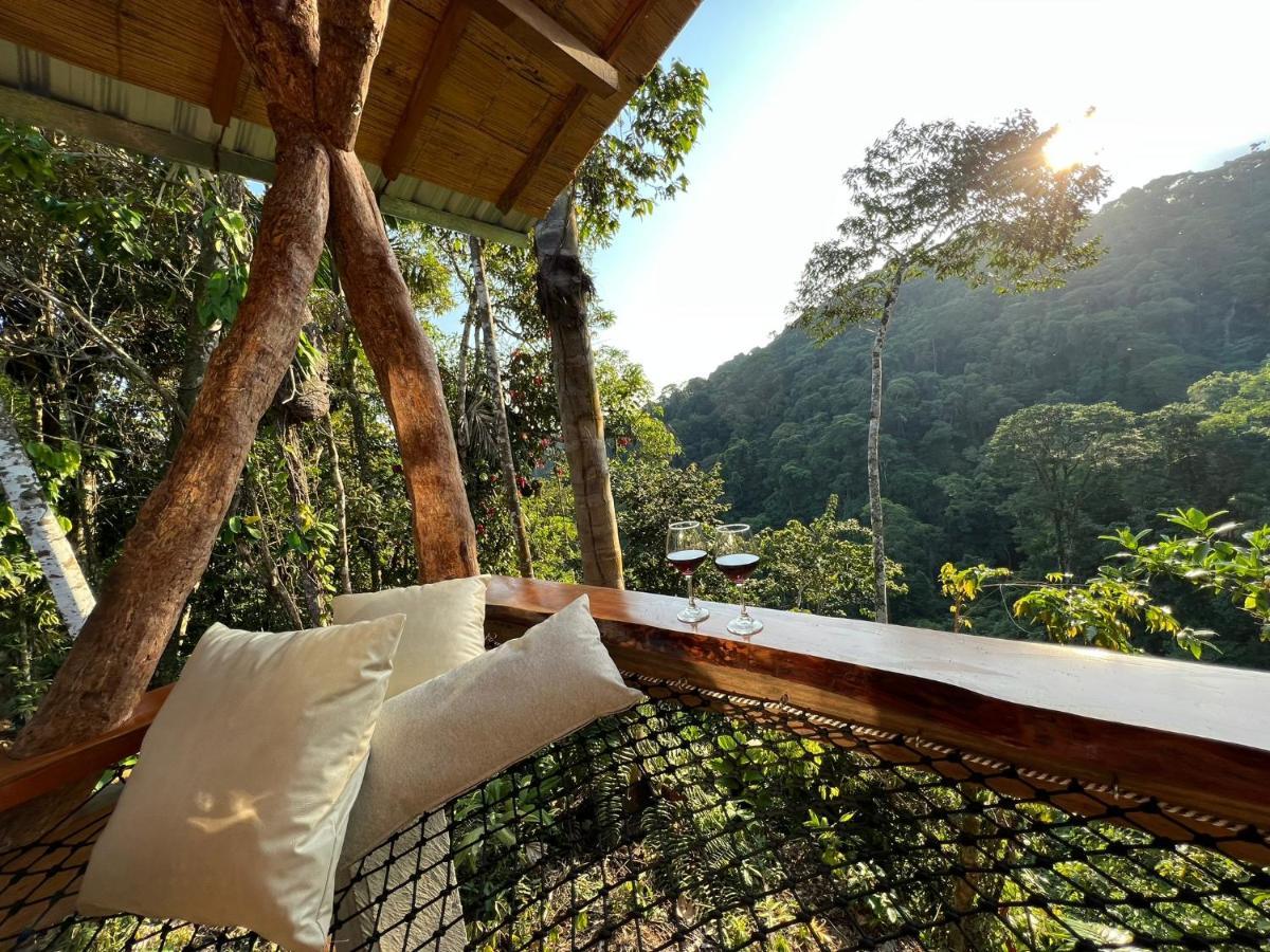 Wild Wasi Lodge - Adventures - Guided Tours Puyo Luaran gambar