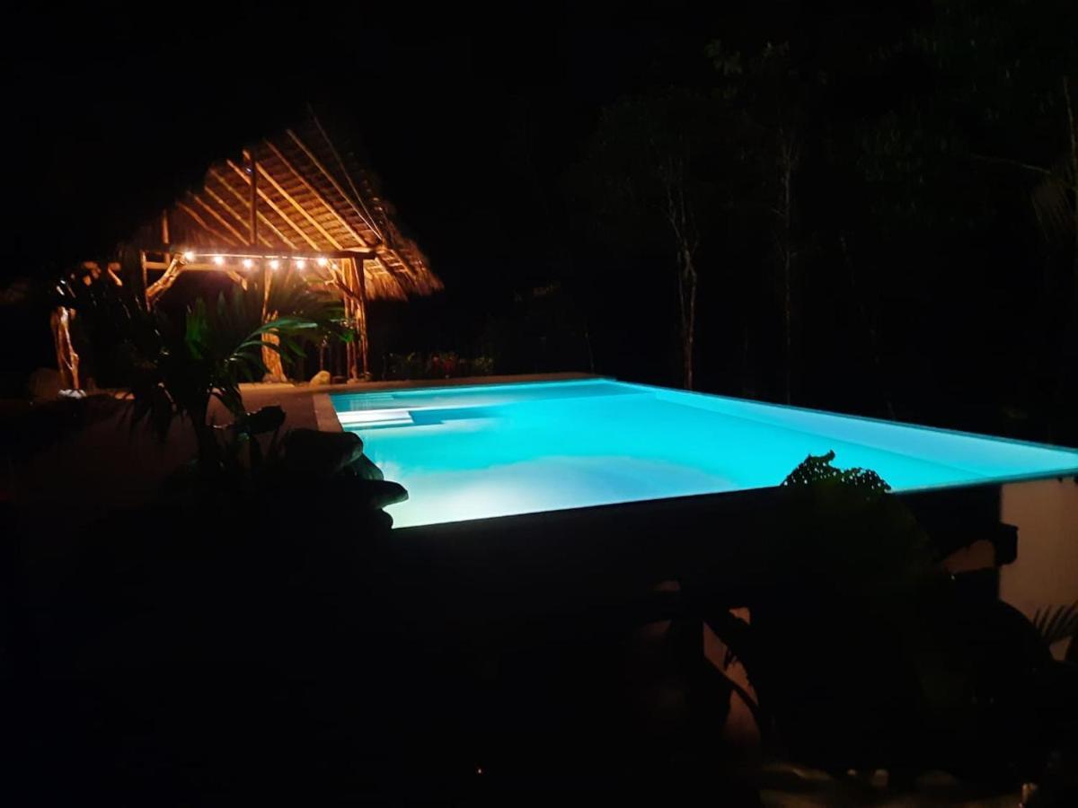 Wild Wasi Lodge - Adventures - Guided Tours Puyo Luaran gambar
