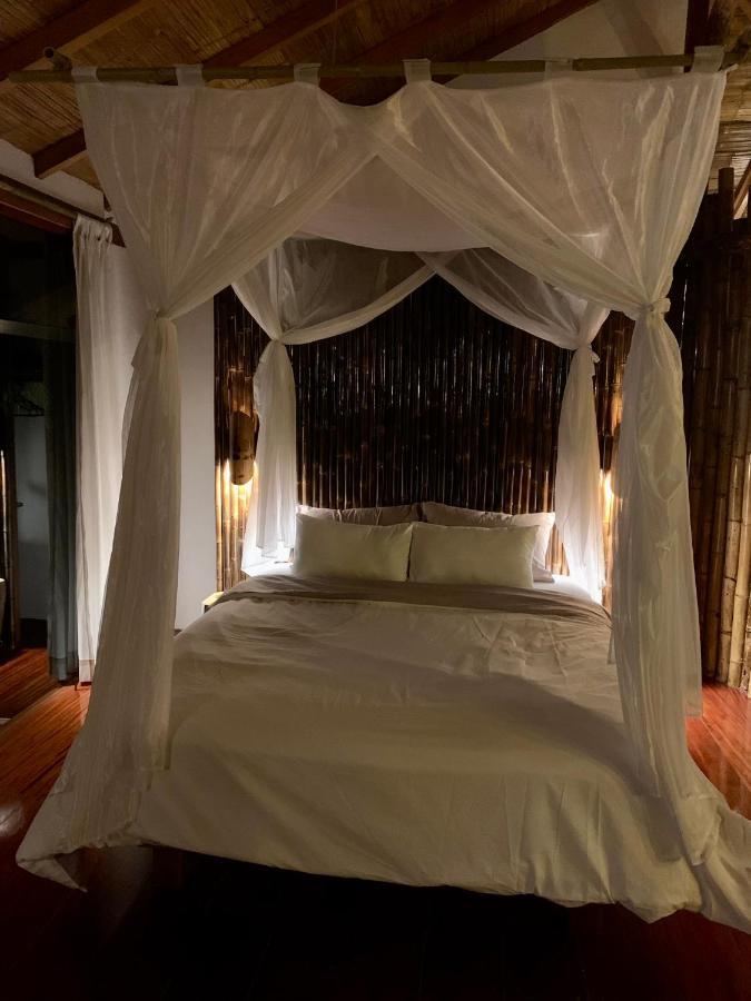 Wild Wasi Lodge - Adventures - Guided Tours Puyo Luaran gambar