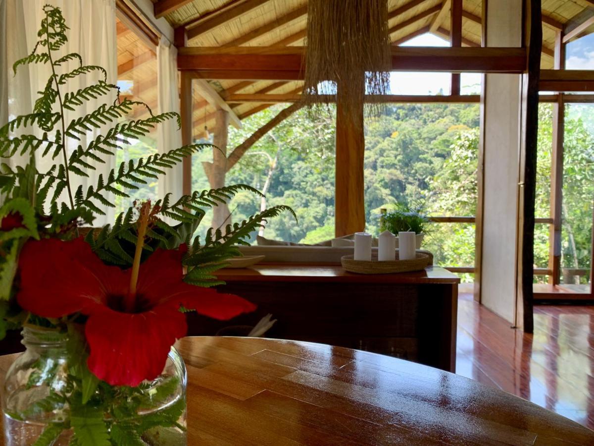 Wild Wasi Lodge - Adventures - Guided Tours Puyo Luaran gambar