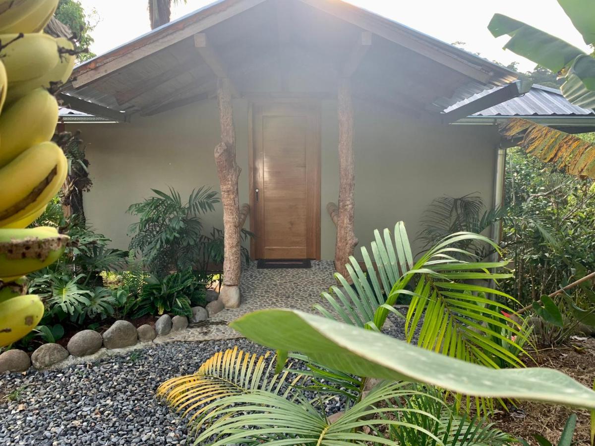 Wild Wasi Lodge - Adventures - Guided Tours Puyo Luaran gambar