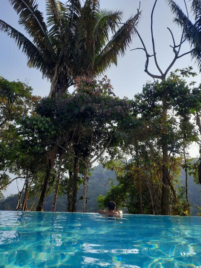 Wild Wasi Lodge - Adventures - Guided Tours Puyo Luaran gambar