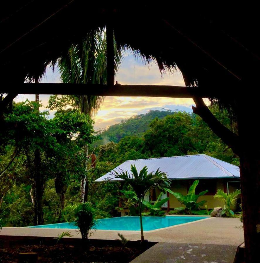 Wild Wasi Lodge - Adventures - Guided Tours Puyo Luaran gambar