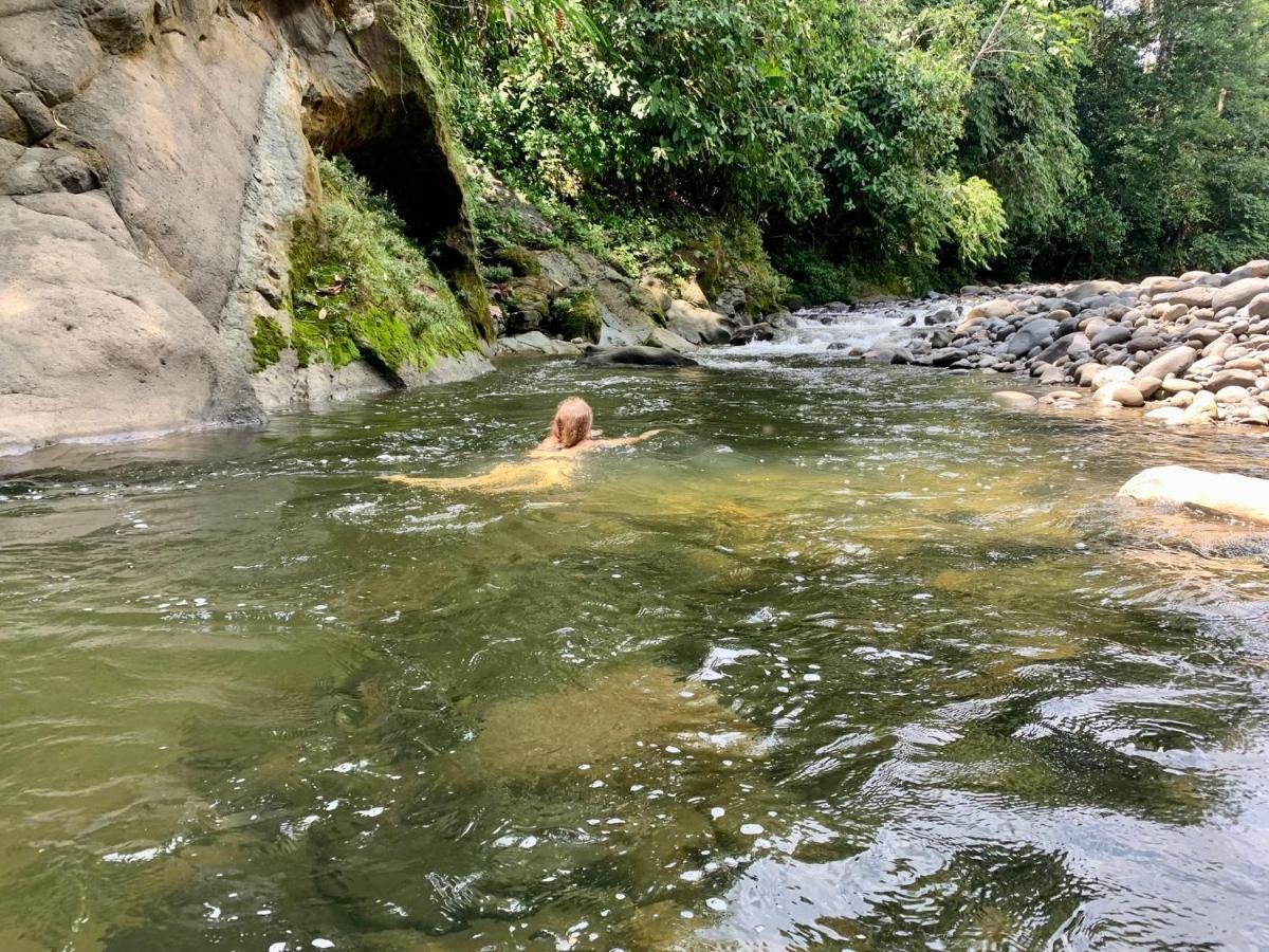 Wild Wasi Lodge - Adventures - Guided Tours Puyo Luaran gambar