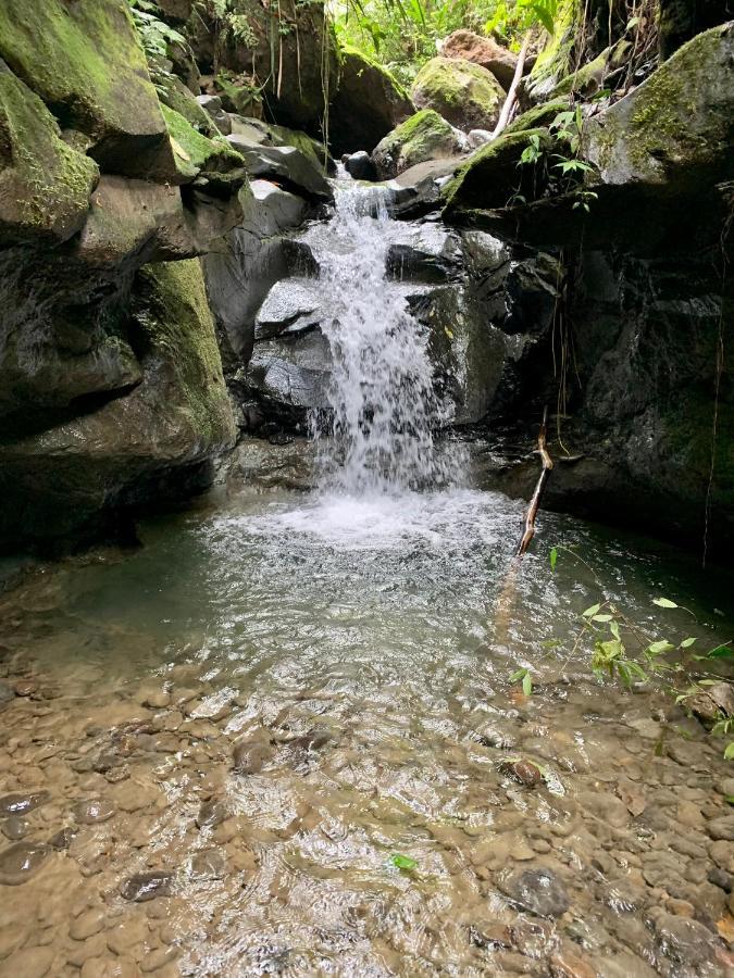 Wild Wasi Lodge - Adventures - Guided Tours Puyo Luaran gambar