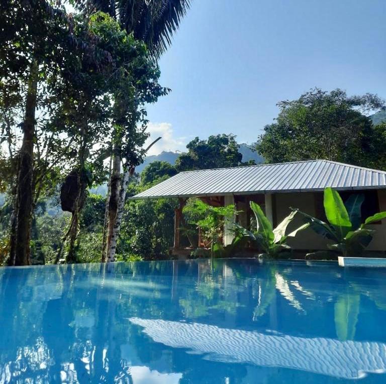 Wild Wasi Lodge - Adventures - Guided Tours Puyo Luaran gambar