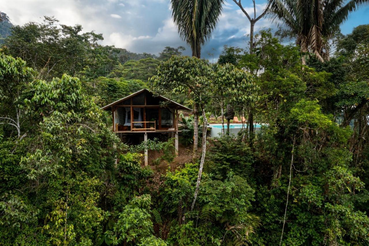 Wild Wasi Lodge - Adventures - Guided Tours Puyo Luaran gambar