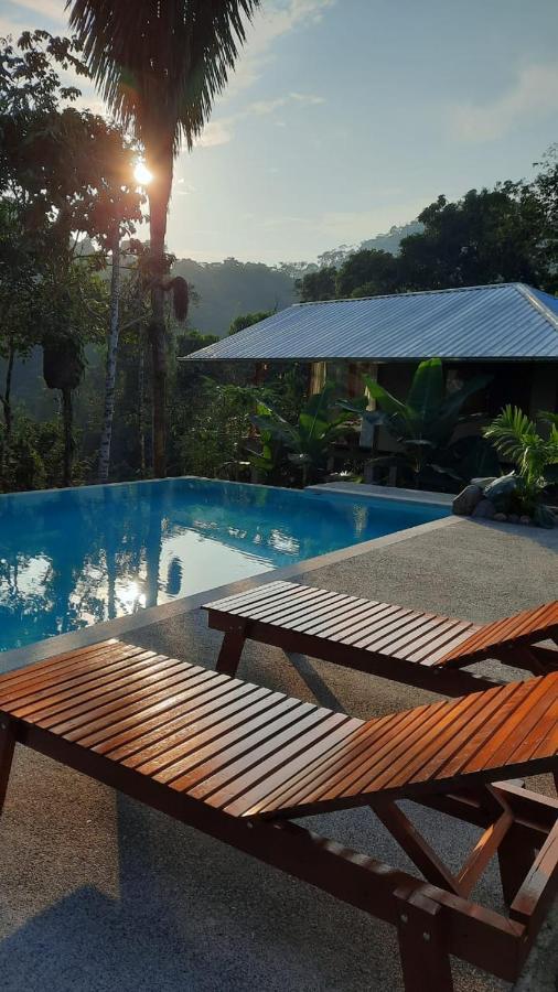 Wild Wasi Lodge - Adventures - Guided Tours Puyo Luaran gambar