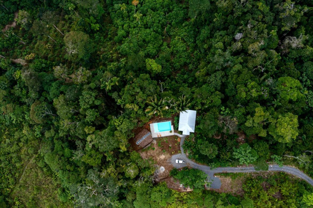 Wild Wasi Lodge - Adventures - Guided Tours Puyo Luaran gambar