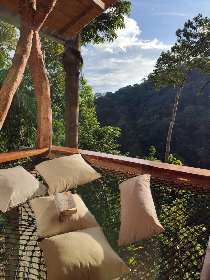 Wild Wasi Lodge - Adventures - Guided Tours Puyo Luaran gambar
