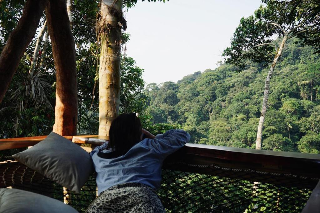 Wild Wasi Lodge - Adventures - Guided Tours Puyo Luaran gambar