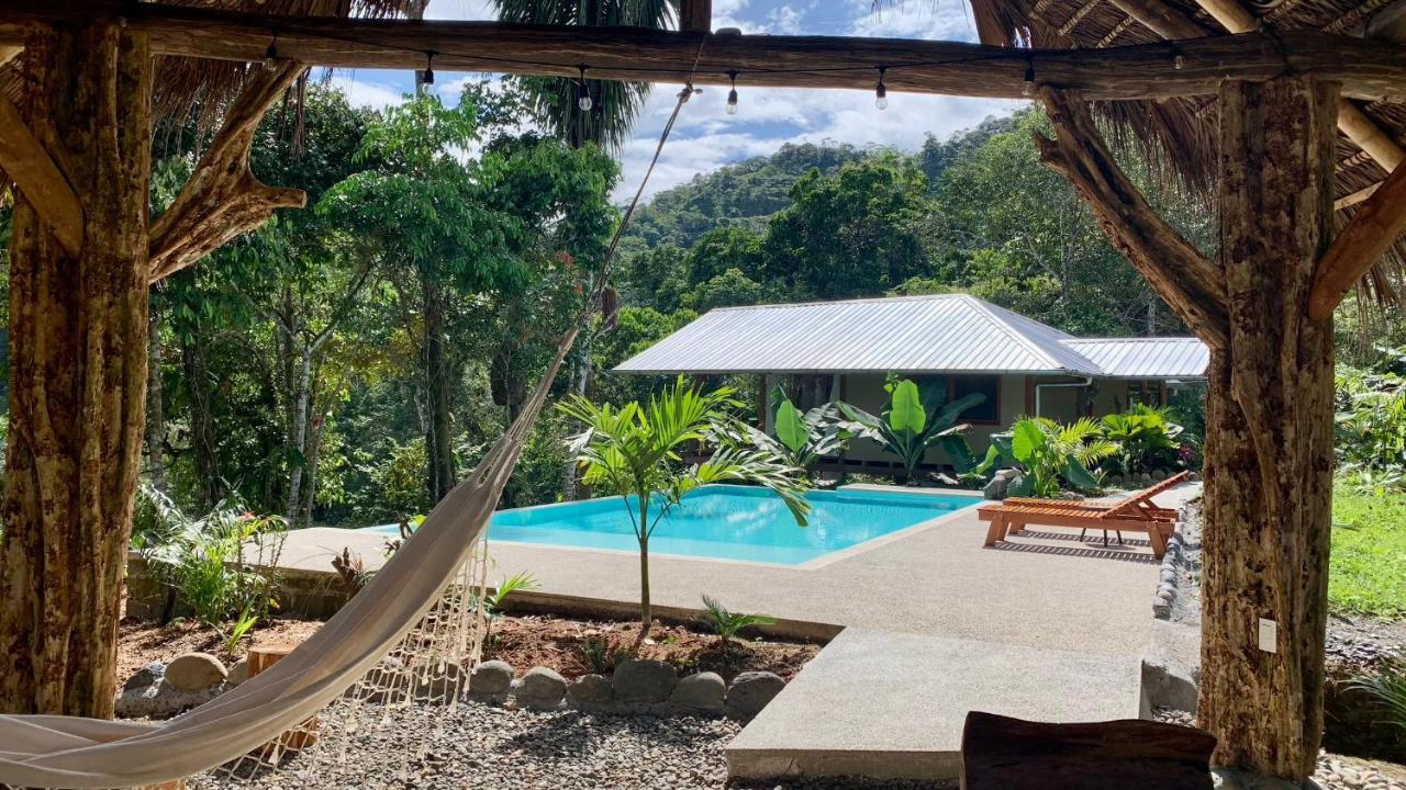 Wild Wasi Lodge - Adventures - Guided Tours Puyo Luaran gambar
