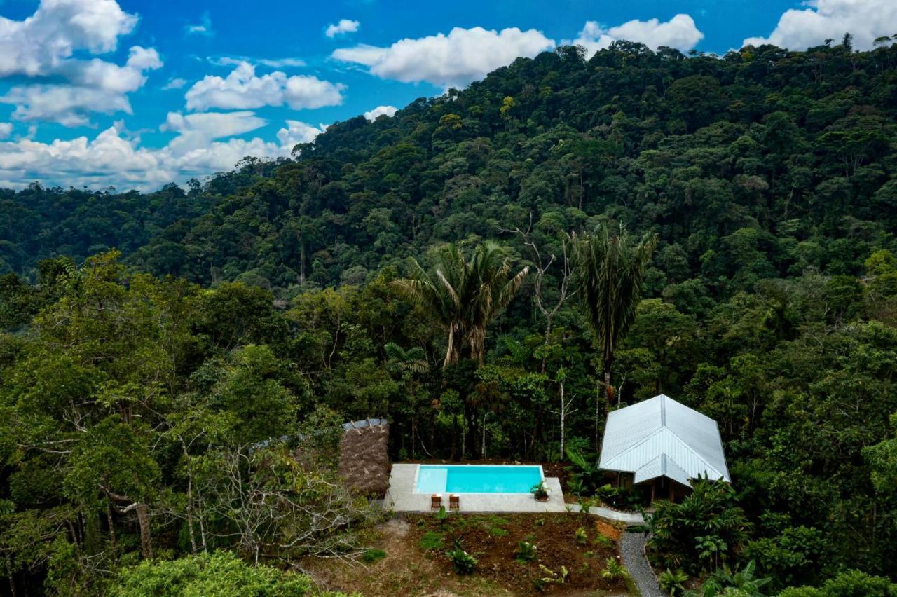 Wild Wasi Lodge - Adventures - Guided Tours Puyo Luaran gambar