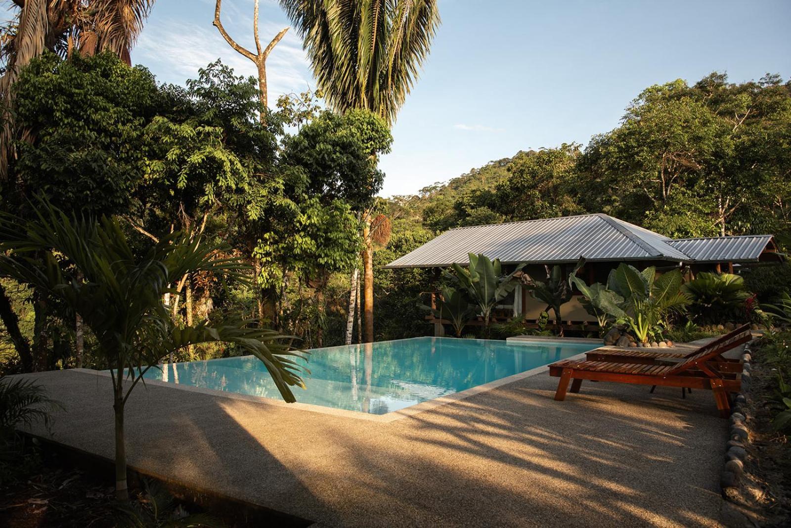 Wild Wasi Lodge - Adventures - Guided Tours Puyo Luaran gambar