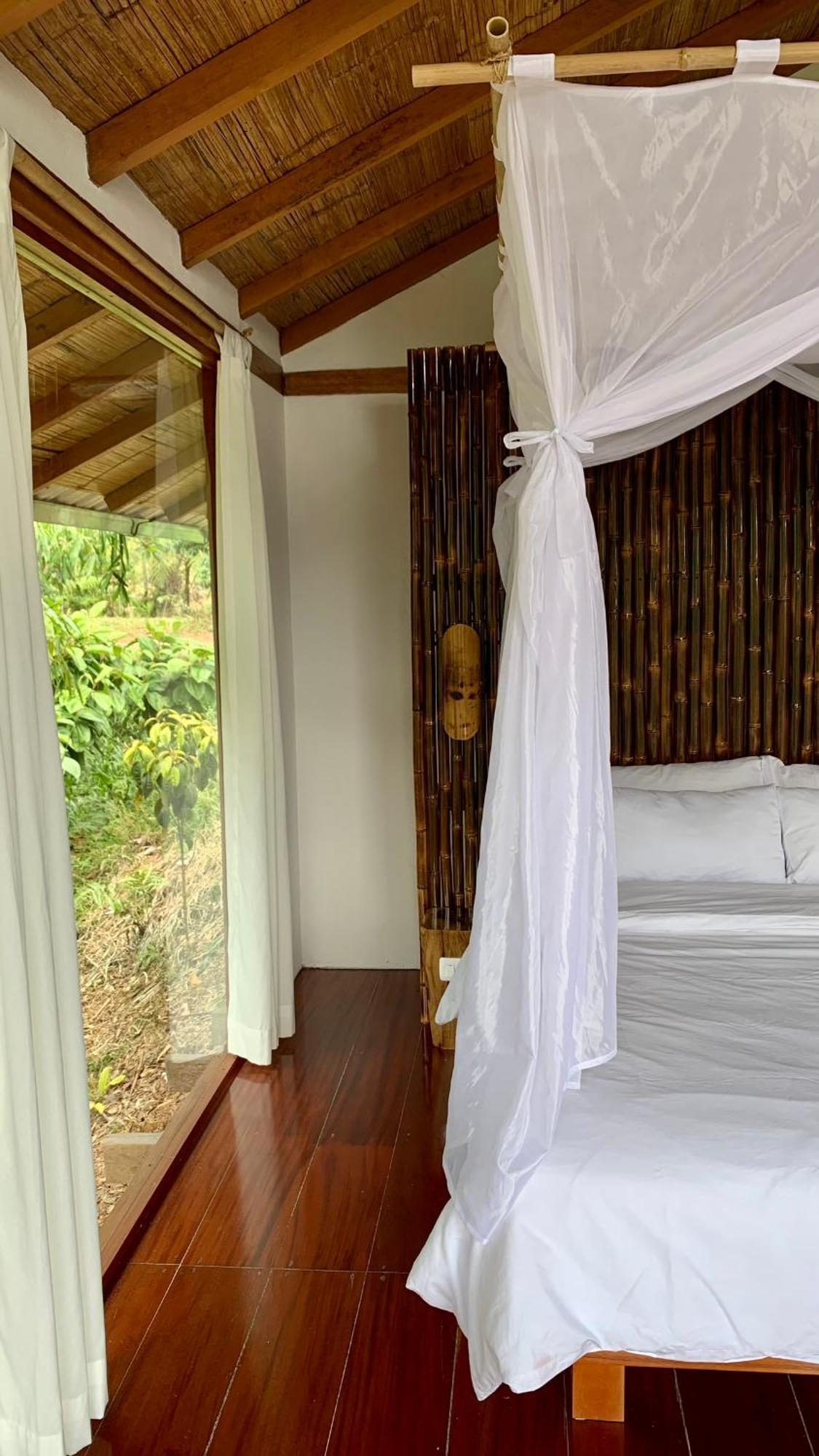 Wild Wasi Lodge - Adventures - Guided Tours Puyo Luaran gambar