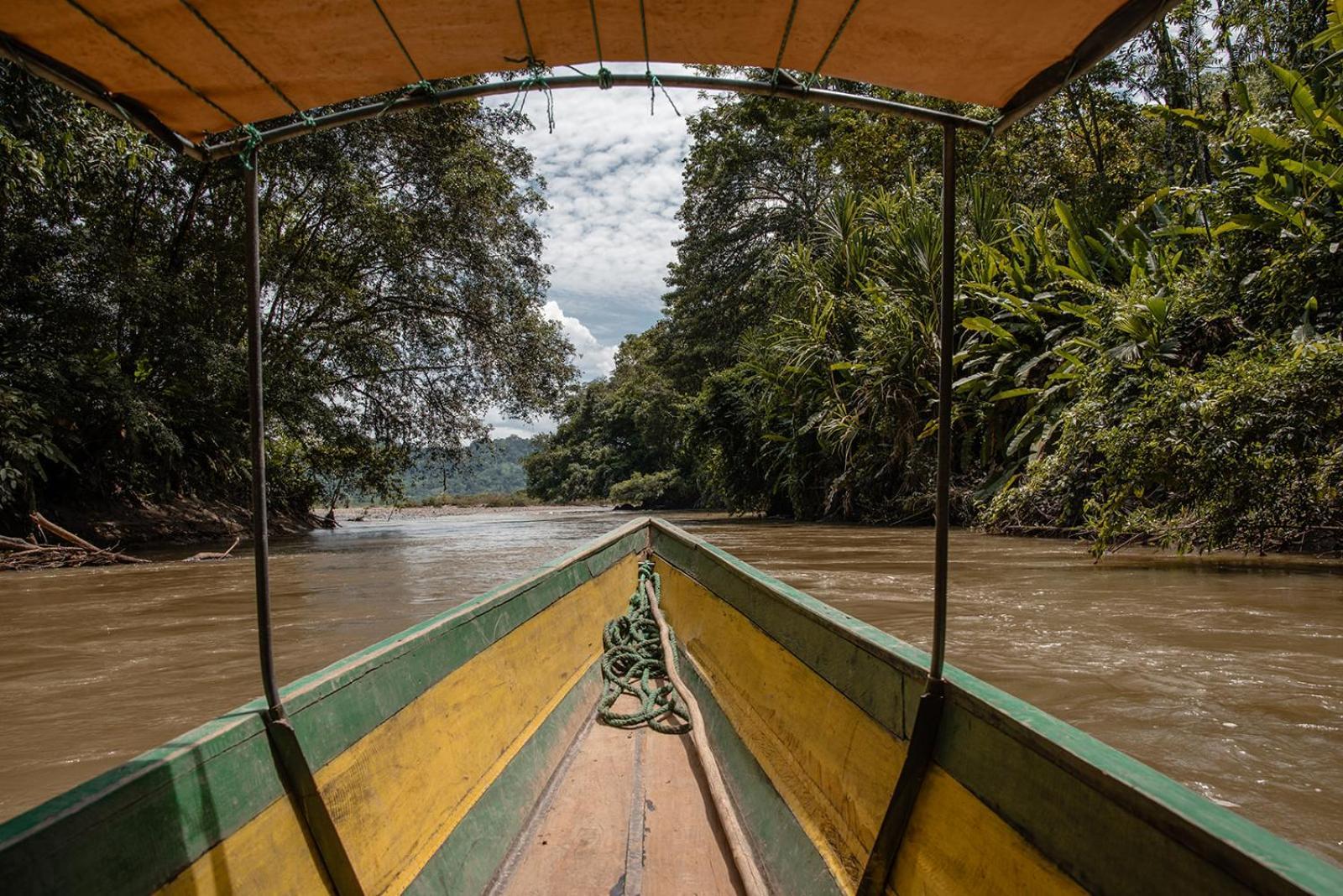 Wild Wasi Lodge - Adventures - Guided Tours Puyo Luaran gambar