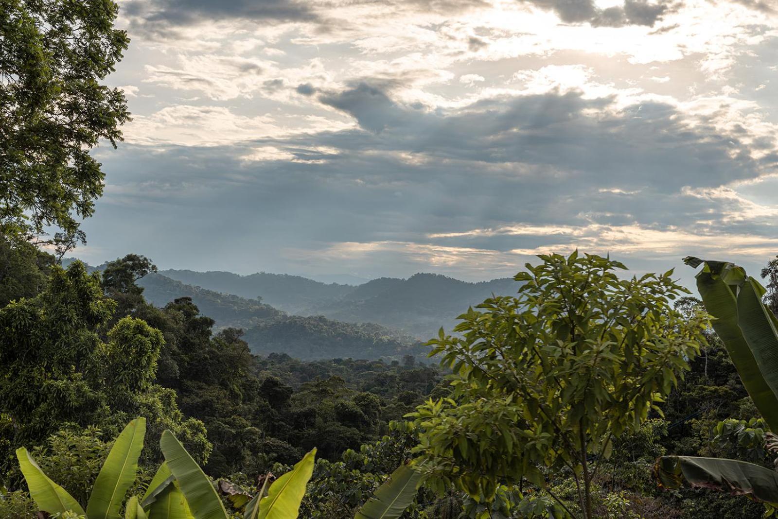 Wild Wasi Lodge - Adventures - Guided Tours Puyo Luaran gambar
