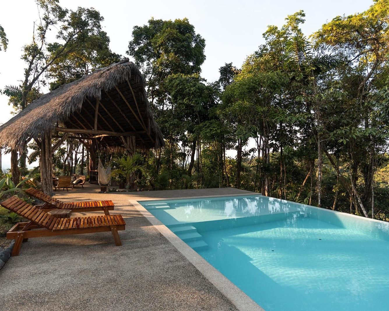 Wild Wasi Lodge - Adventures - Guided Tours Puyo Luaran gambar