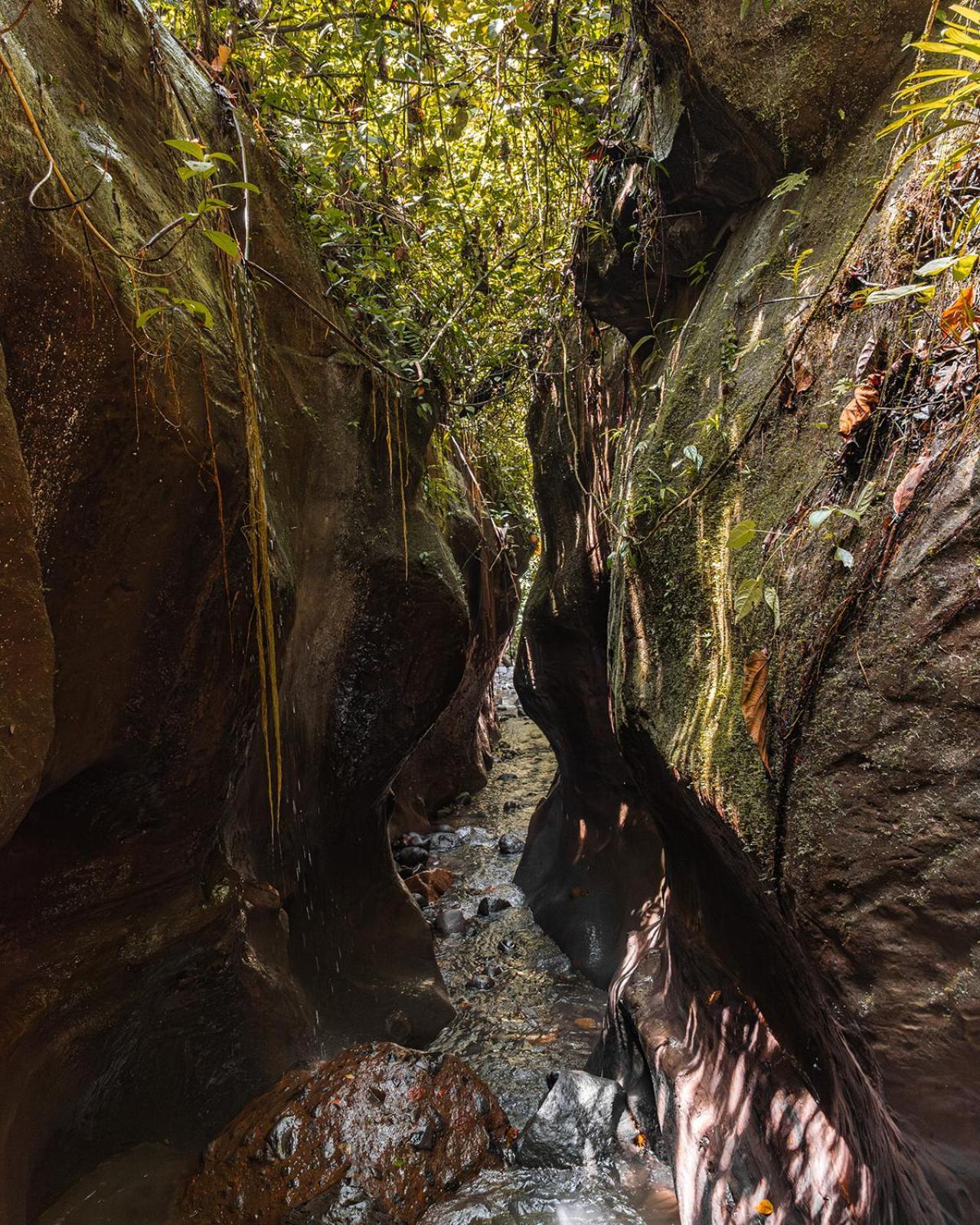 Wild Wasi Lodge - Adventures - Guided Tours Puyo Luaran gambar