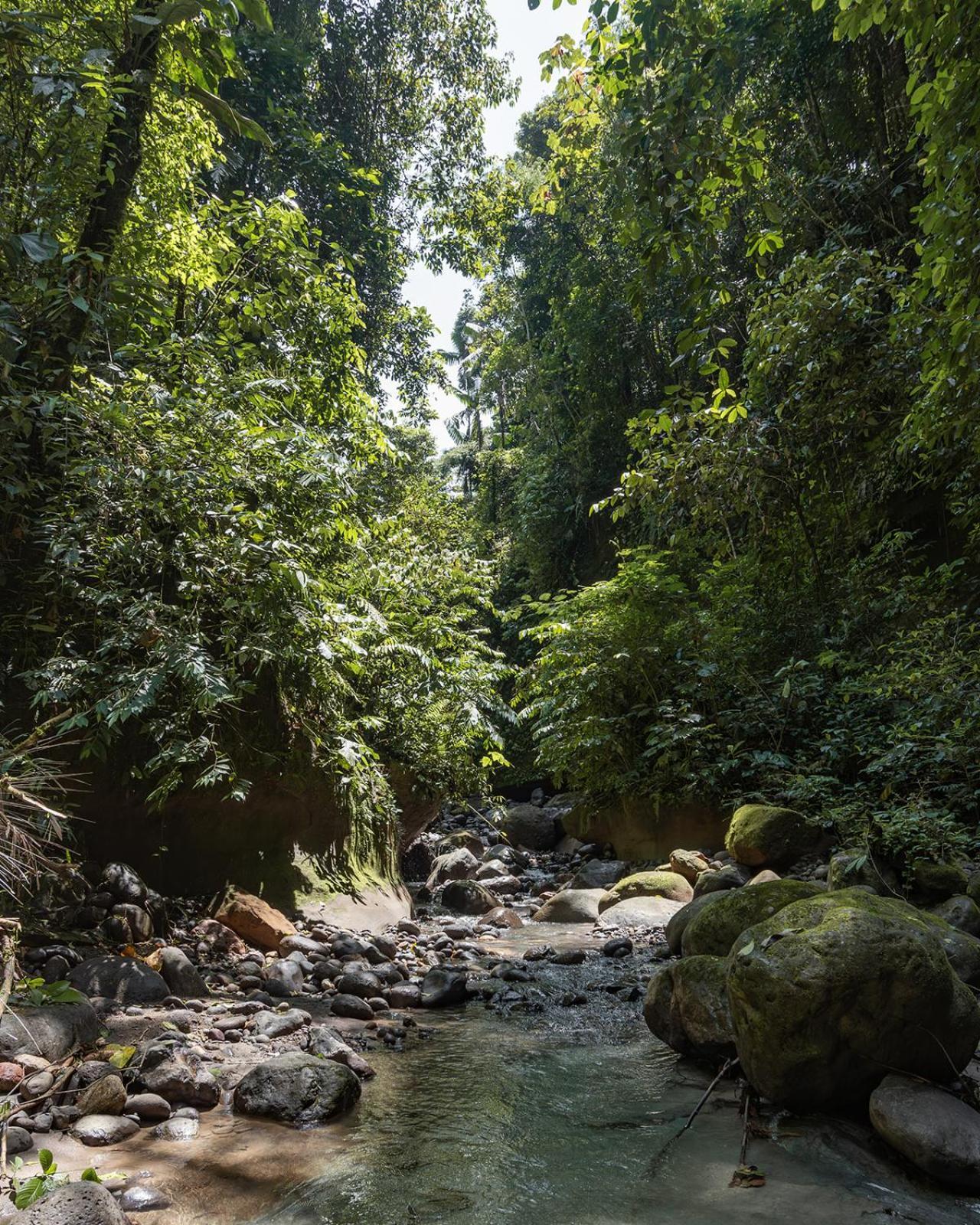 Wild Wasi Lodge - Adventures - Guided Tours Puyo Luaran gambar